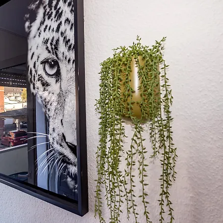 Junik Apartments 