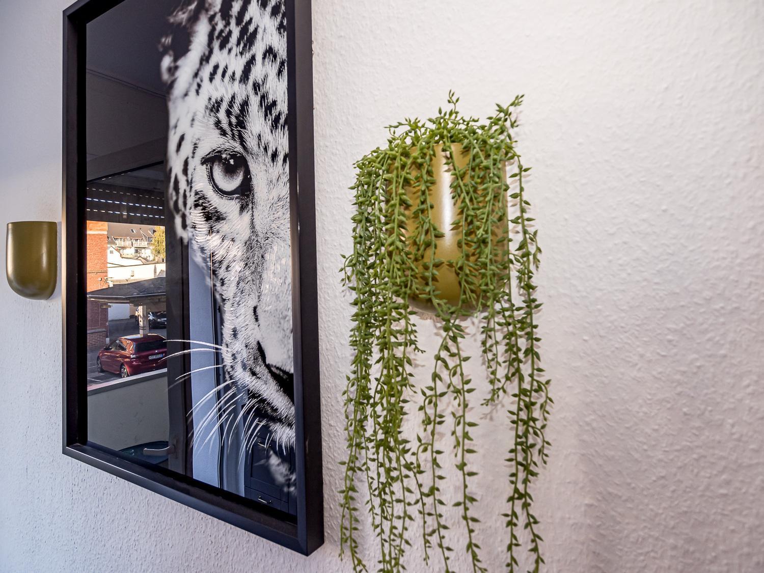 Apartment Junik 